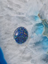 Schöne große Australische