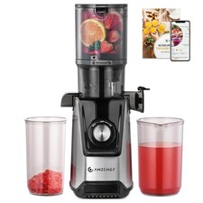 AMZCHEF Entsafter Slow Juicer