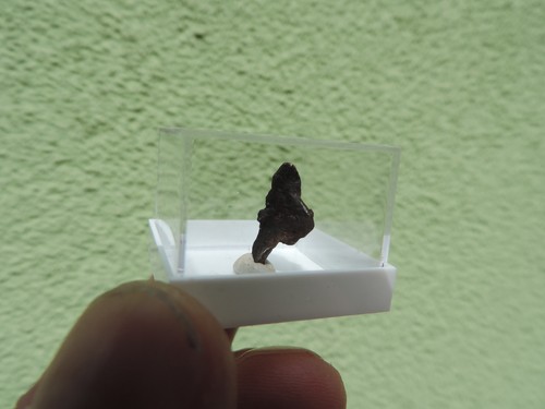 Meteorit sikhote alin - meteorit,