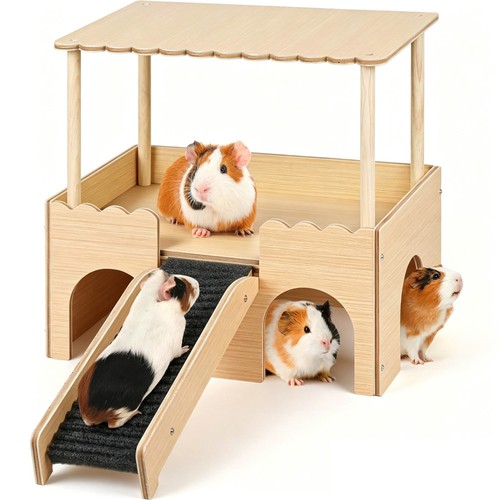 Meerschweinchen versteck mit - meerschweinchen, 3