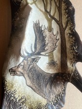 Damhirschgeweih mit Damhirsch