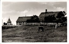 Ak Hallig Oland Nordfriesland