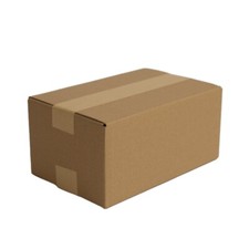 100 Kartons Paket 260 x 170 x