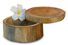 Schmuck dose baumstamm - schmuck,