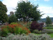 Photo 6x4 Perennial planting Perth/NO1123 The plot at the corner of Glas c2007