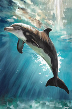 meisterwerk: Delfin  Original