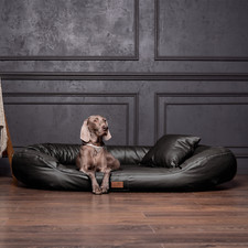 Orthopädisches Hundebett