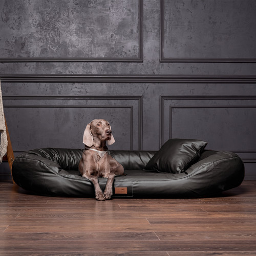Orthopädisches hundebett - orthopädisches,