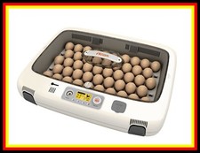 27) RCOM 50 Pro-Inkubator-Brutschrank-Brutgerät-Broedmaschine-Incubator-Incubatr