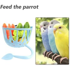 Vogelheimer Futtersuche