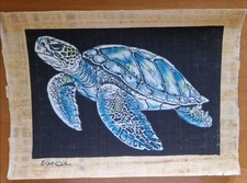 Papyrus Bild Ägypten