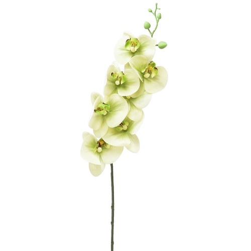 Orchidee kunstblume gelb - orchidee,