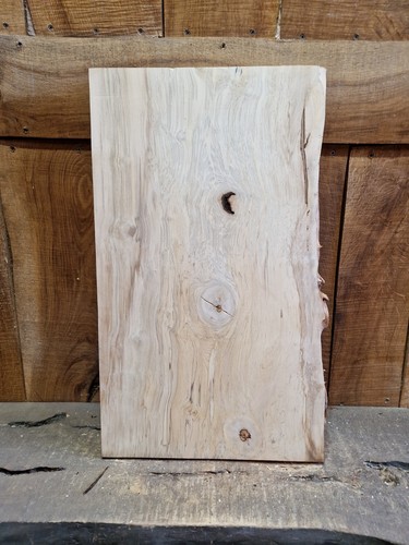 Live edge hainbuchenplatte - edge,
