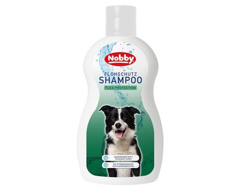 Nobby hund dog - nobby,