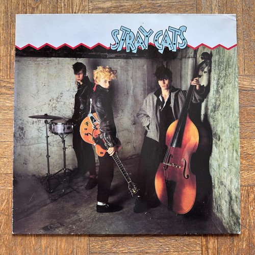 Stray cats - stray,