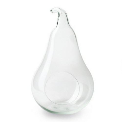 Glasschale terrarium glas - glasschale,,
