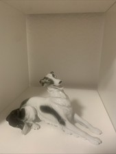 Windhund Greyhound