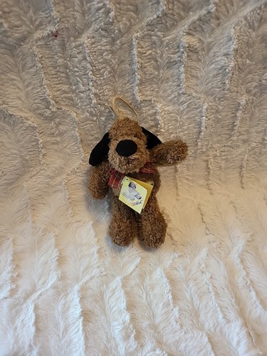 Sunkid hund mit schleife - hund,