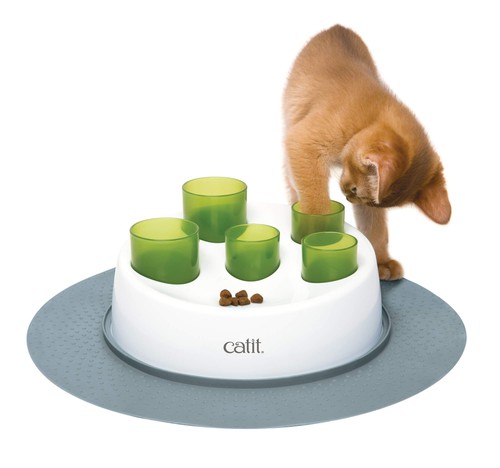 Katzenspielzeug interaktiv