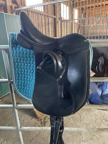 Dressursattel horse and - horse,