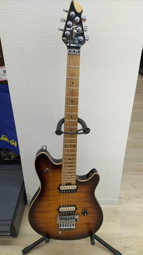 Peavey gitarre wolfgang - e-gitarre,