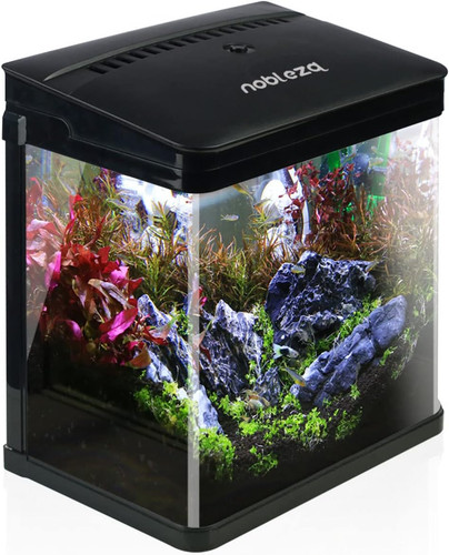 Nobleza - ,