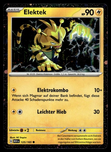 Elektek 125 165 - elektek, holo)