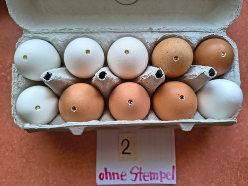 Eier hühnereier - 10,