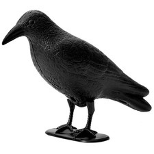 Vogelschutz Pfeife Rabe