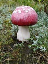 Keramik fliegenpilz pilz - keramik,