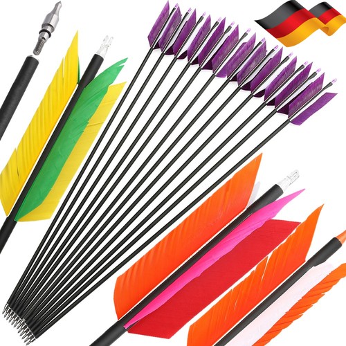 12x 30zoll carbonpfeile - carbonpfeile, sp500