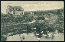 AK - Walsrode im Heidekreis - Erholungsheim Park Teich und Enten - 1915 gelaufen
