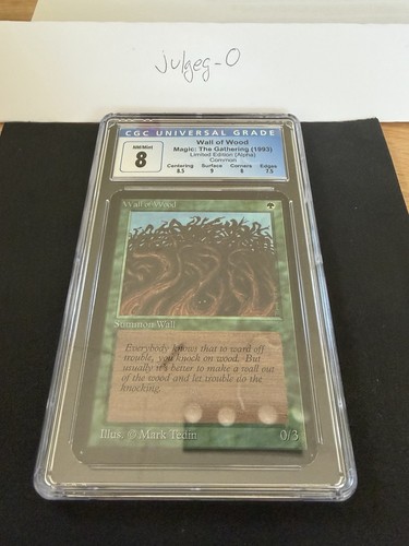 Magic the gathering wall of - the,