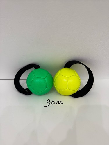 Ball hund - ball/, hund/