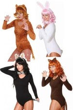 Hase Zebra Löwe Katze Elefant