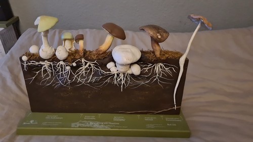 Lehrmodell namens bos 226 - lehrmodell, "bos