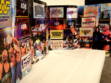 WWF World Wrestling Federation