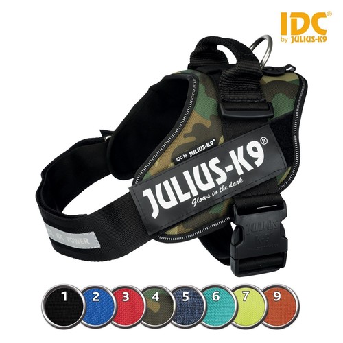 Julius - , k9