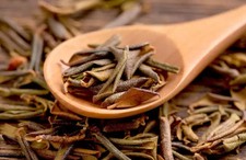 White Wings Sagan Dalya