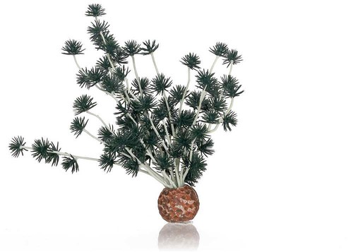 Biorb bonsai ball schwarz - biorb,
