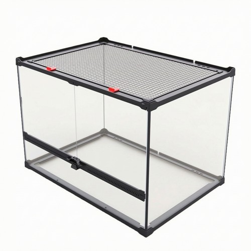 Glass terrarium with - glass,