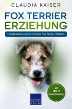 Fox Terrier Erziehung: Tipps