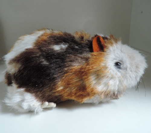 Steiff