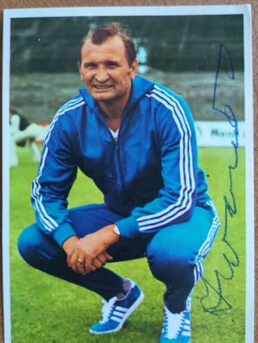Bergmann schalke 04 - ,