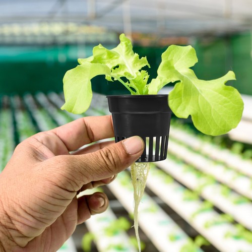 Pcs hydroponic netztopf - 6,