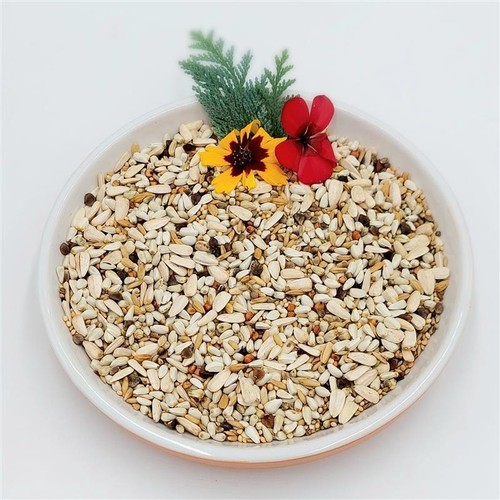 Bird box papageienfutter - bird-box,