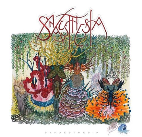 Synaesthesia - cd,