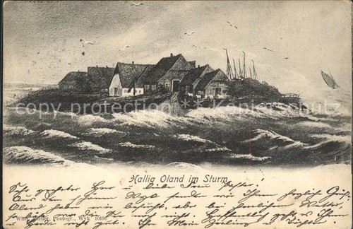 Hallig oland sturm - oland,