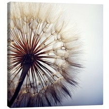 Leinwandbild große pusteblume - leinwandbild,