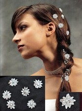 10 Curlies Strass Kristallen Blumen Spiralen Haarschmuck zu Brautkleid Kommunion